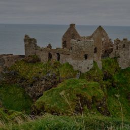 Case Study: Go to Ireland Today
