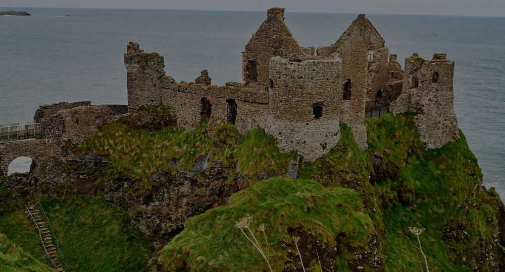 Case Study: Go to Ireland Today