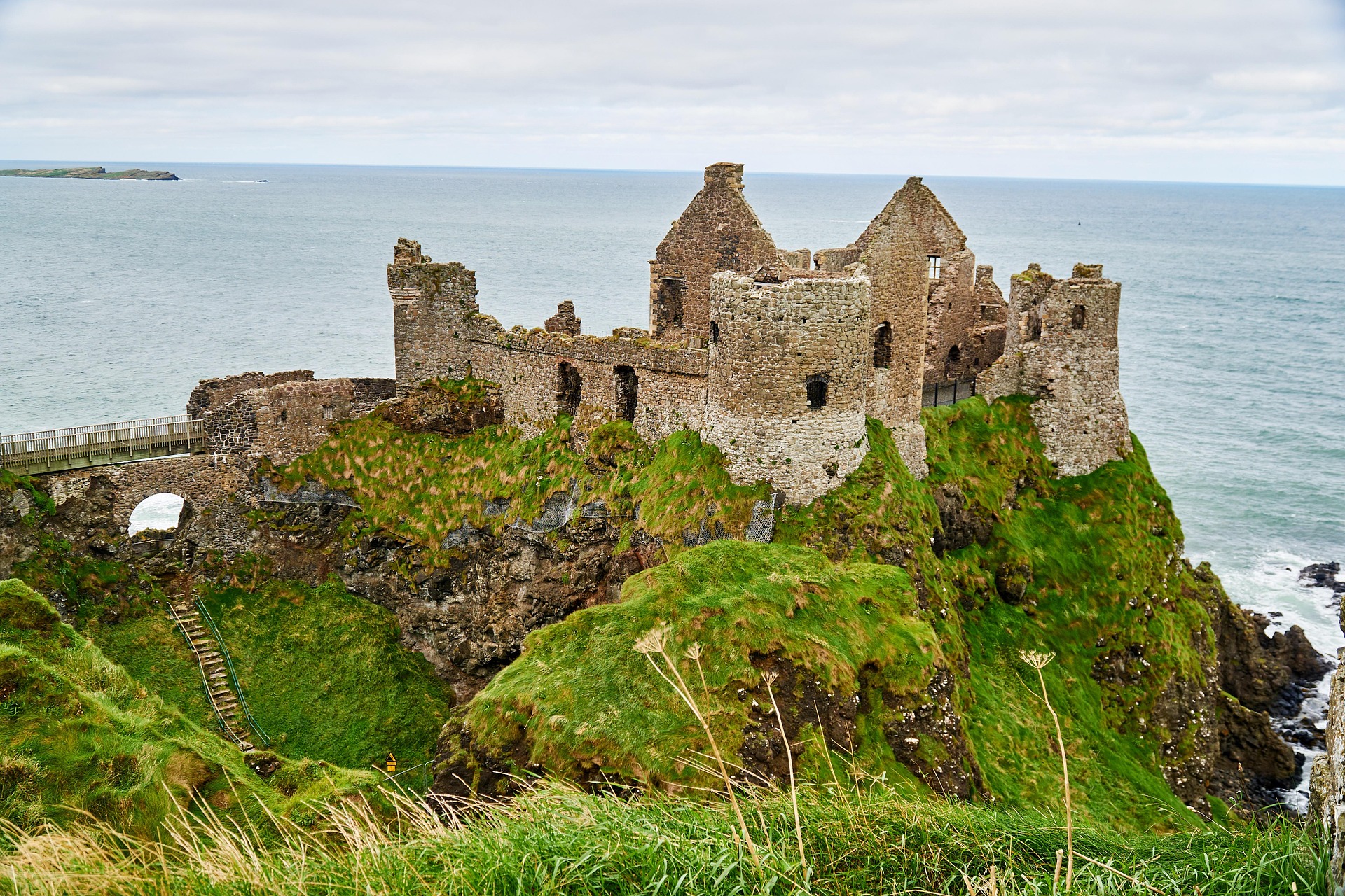 Case Study: Go to Ireland Today